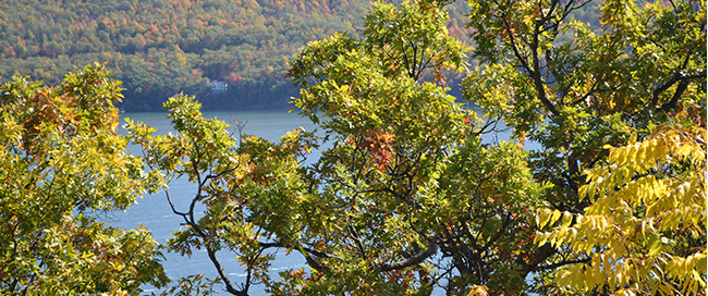 Bristol Harbour Village